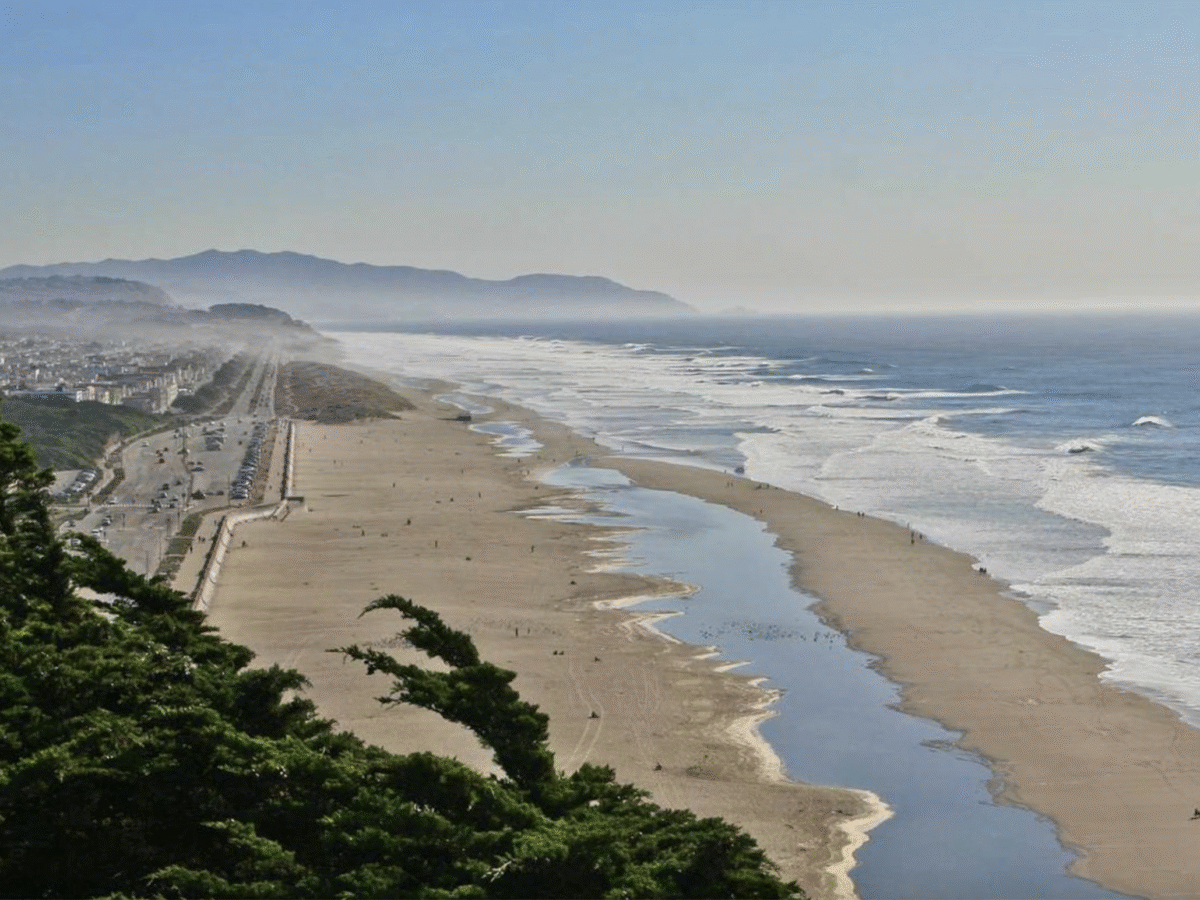Along With Its New Park, Ocean Beach Gets a Dunescaping