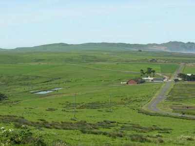 Point Reyes is Far From the Only National Park that Hosts Agriculture