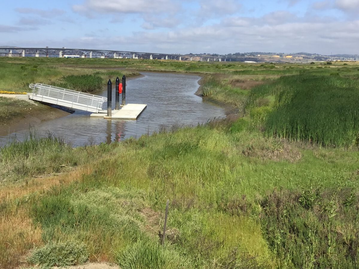 A Ramble Around Pacheco Marsh