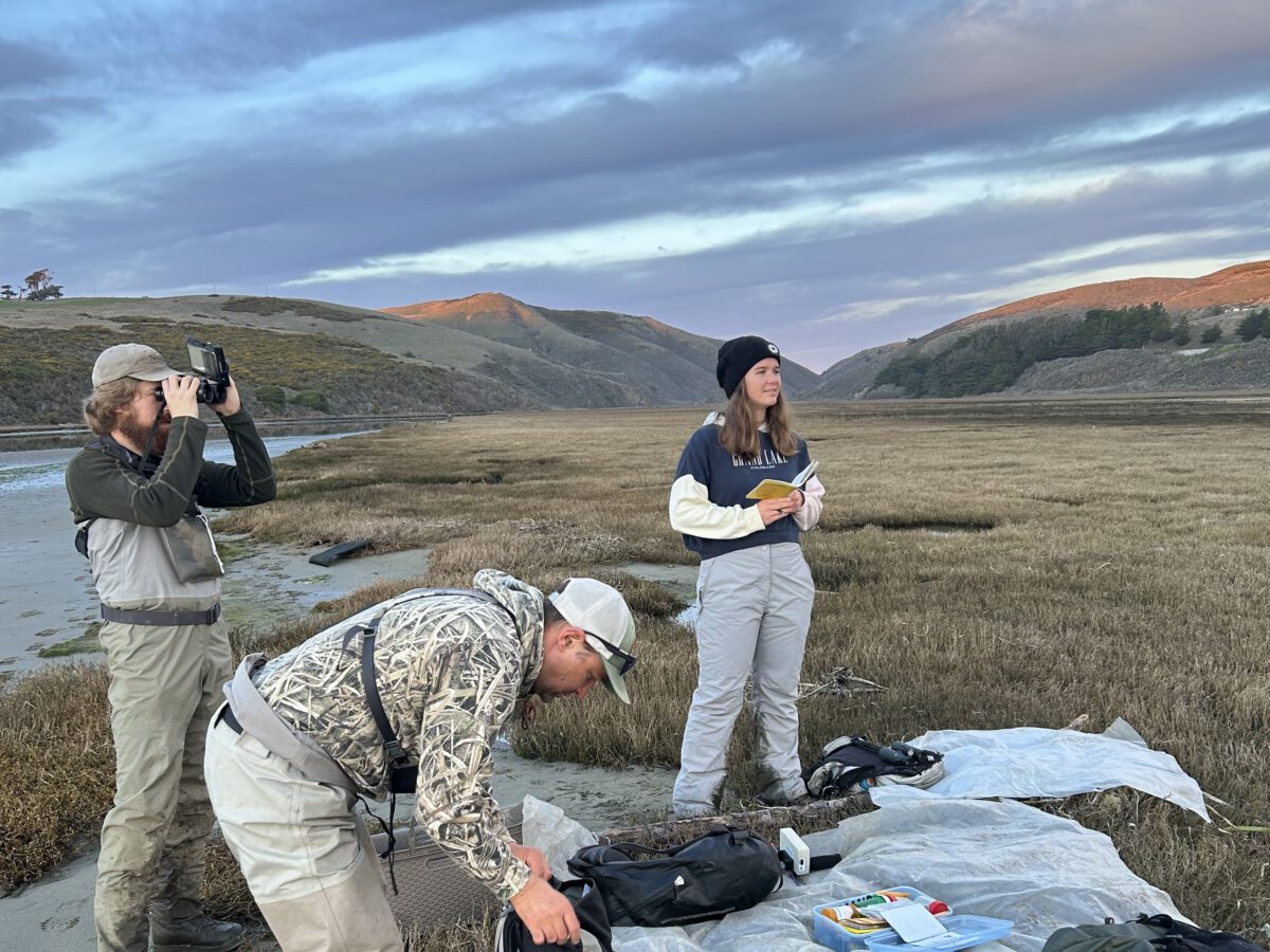 Local AmeriCorps Fellows Lose Jobs, Leaving Oaks Unplanted and Career Prospects Unclear