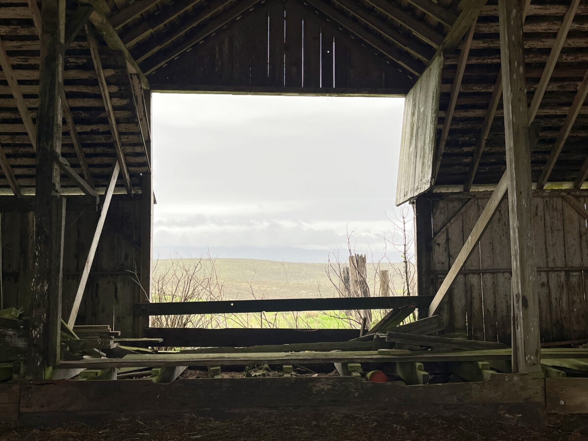 Point Reyes, After the Cattle