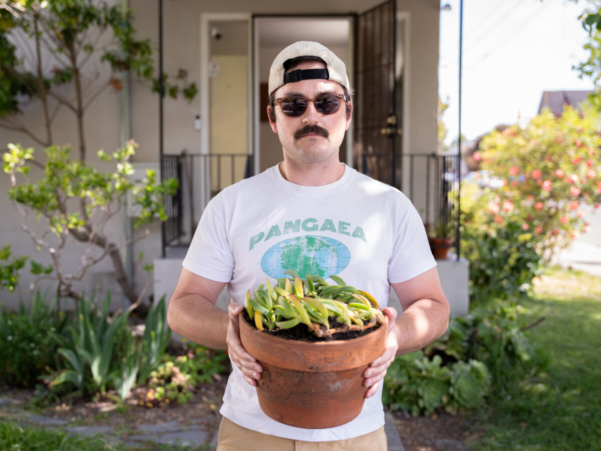 We’ve Lost the A’s, But At Least We Still Have This Invasive Succulent