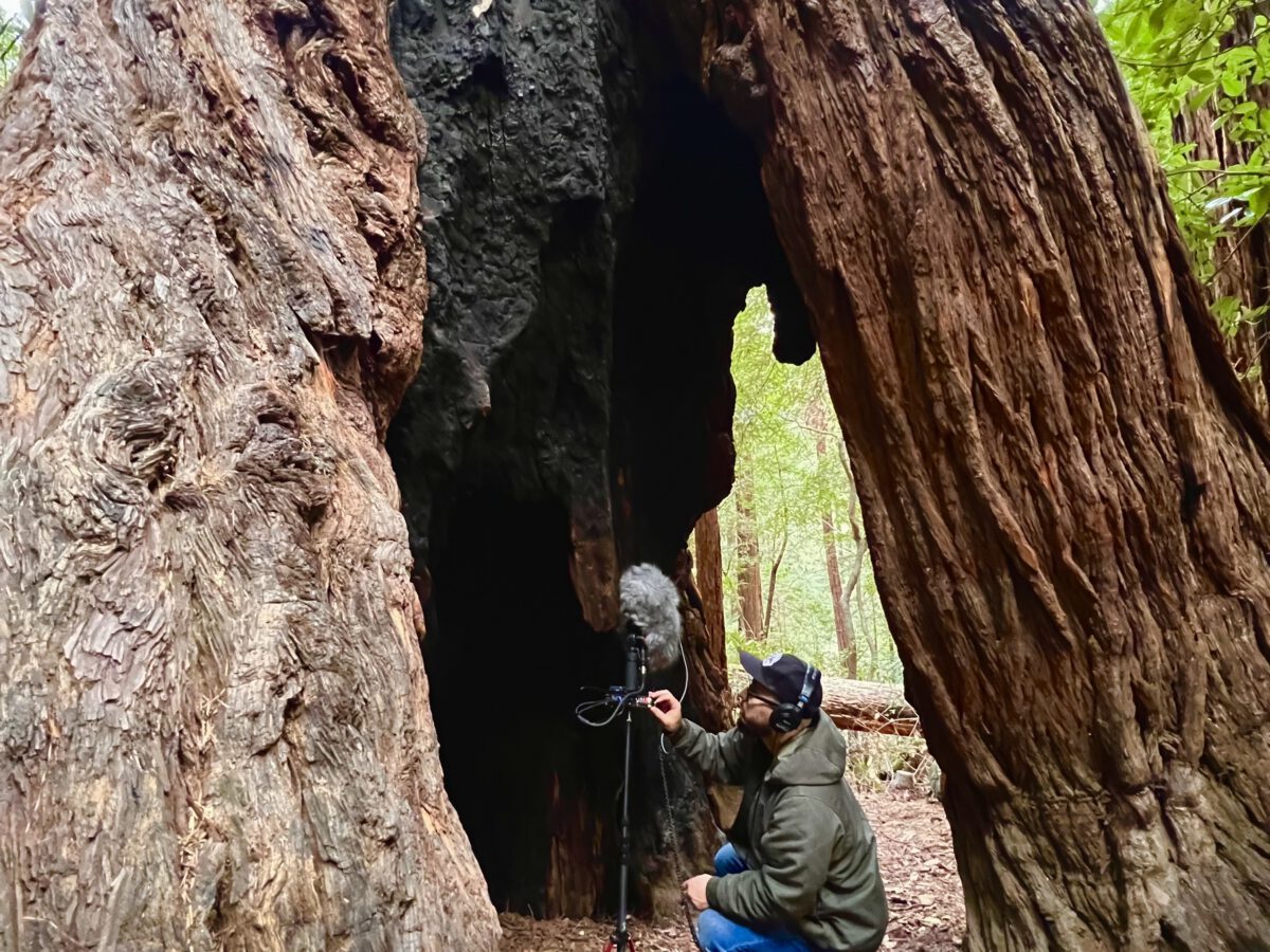 The Man Who Records the Nature Sounds We Meditate To