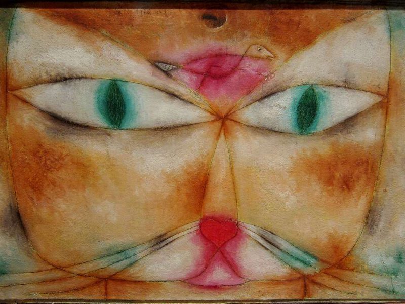 A Call for Cat-Bird-People